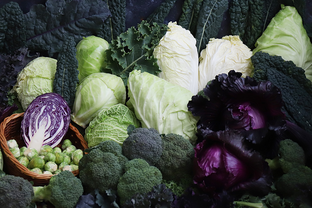 Notre assortiment 2026